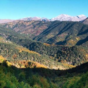 Bosco delle Navette