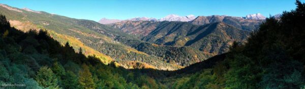 Bosco delle Navette