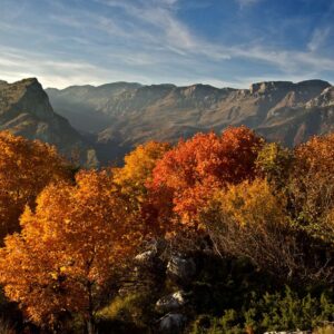 Autunno in Val Tanaro
