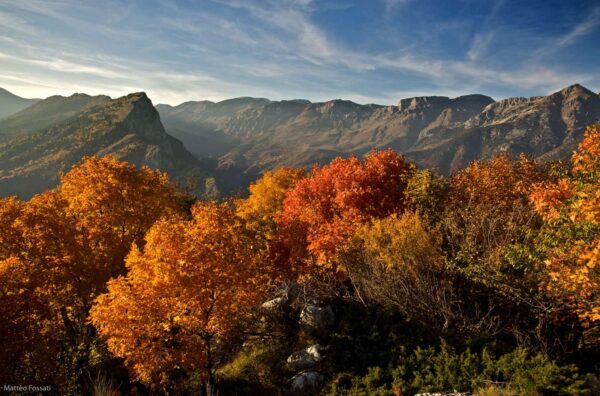Autunno in Val Tanaro