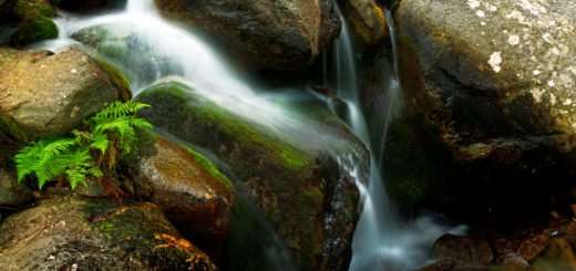 Cascata