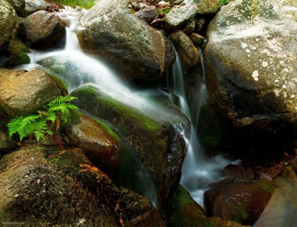 Cascata