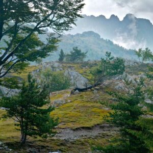 Alpi Liguri