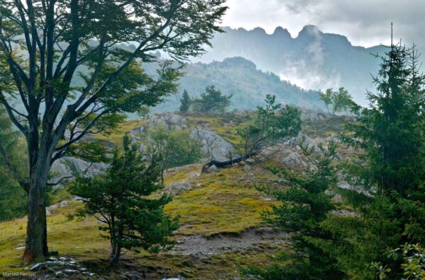 Alpi Liguri