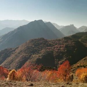 Colori in Alta Val Tanaro