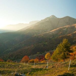 Pascoli alle pendici del Pizzo di Ormea