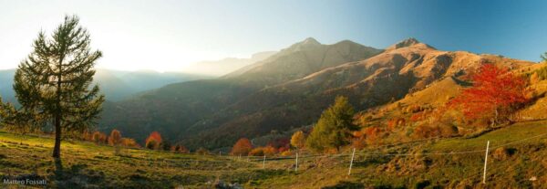 Pascoli alle pendici del Pizzo di Ormea