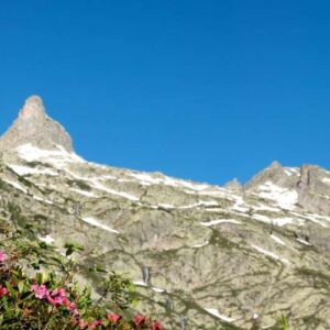 Rododendri e Rocca della Bastera