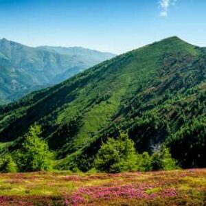 AL277 Fronte Garlenda Piaggia Alpi Liguri