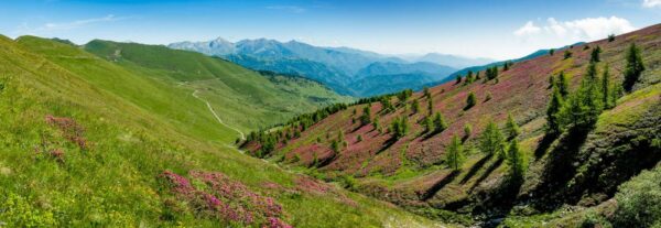 AL278 Monesi Plateau Alpi Liguri