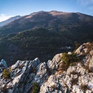 AL308 Torre Saraceni 2