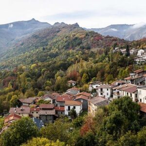 AL309 Chionea autunno 1