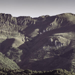 AL332 Panne e Antoroto