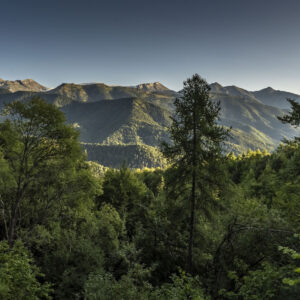 AL349 Quadro panoramico Alpi Liguri Alta Val Tanaro