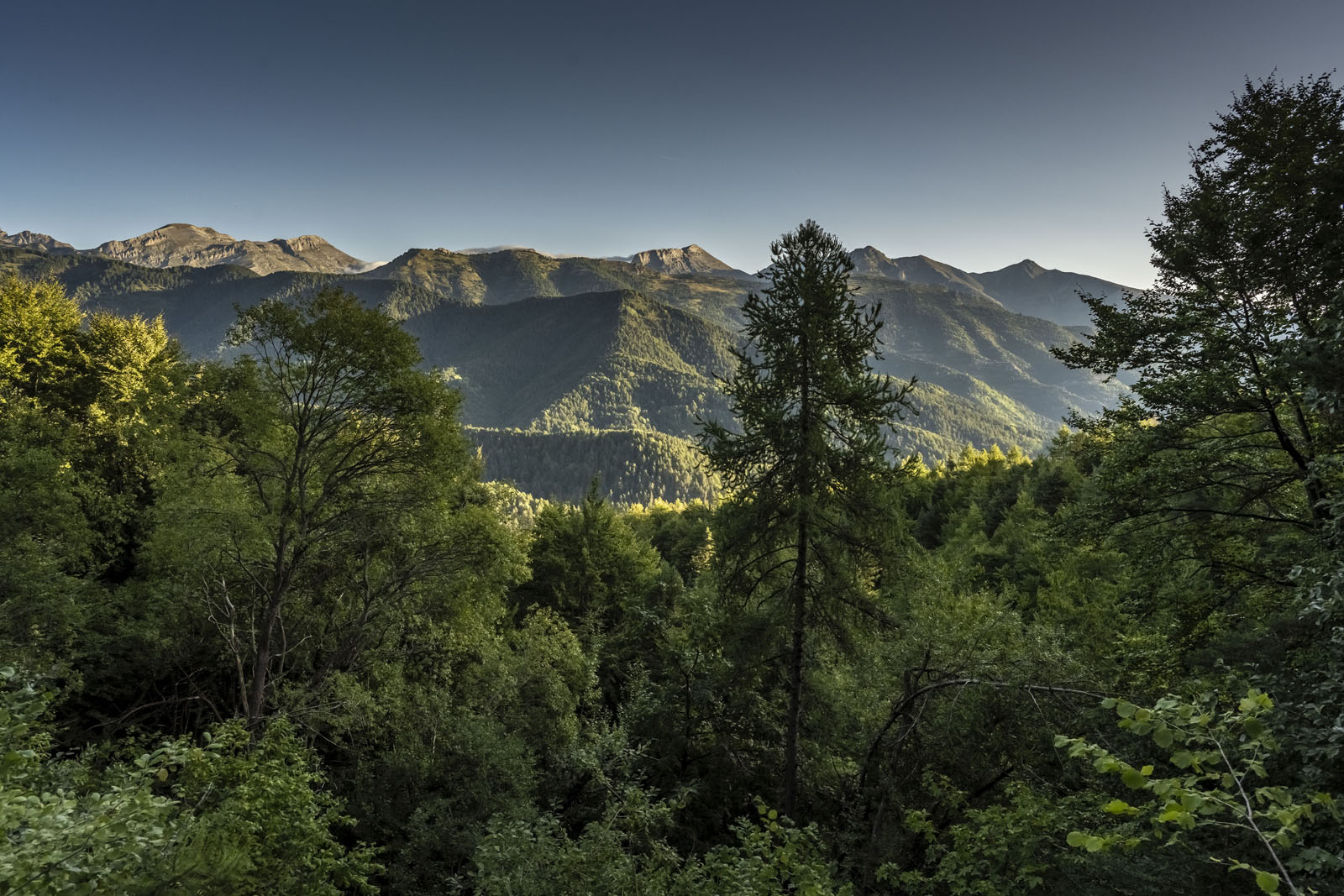 AL349 Alpi Liguri